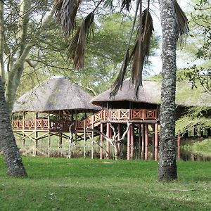 Bonamanzi Game Reserve